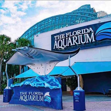 Вилла Minutes To Fairgrounds, Hard Rock, & Busch Gardens Тампа Экстерьер фото