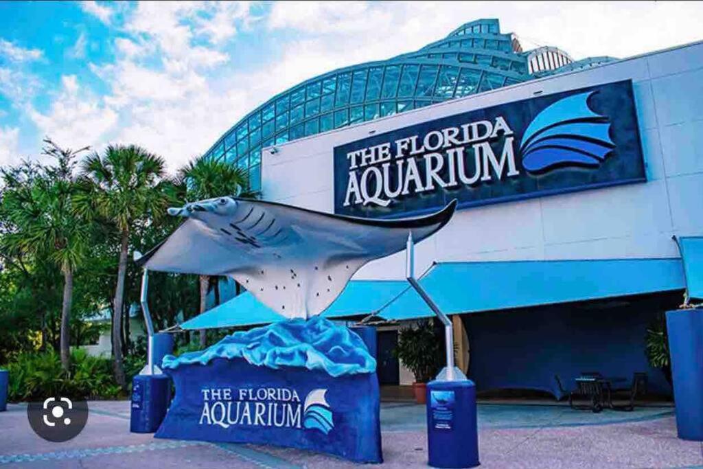 Вилла Minutes To Fairgrounds, Hard Rock, & Busch Gardens Тампа Экстерьер фото